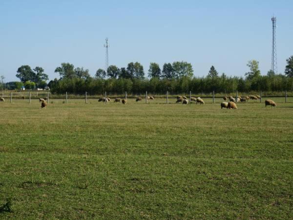 Domek Na Wsi-Agroturystyka Czyze المظهر الخارجي الصورة